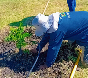 Mantenimiento de Áreas Verdes SOS